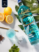 MAGELLAN GIN 1L